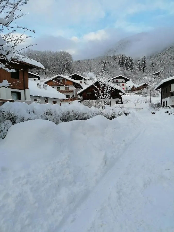 Casa Heidi Apartment Pieve di Cadore