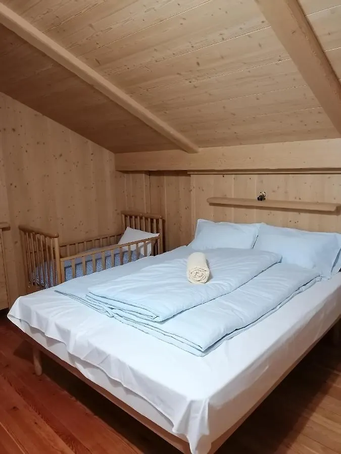 Casa Heidi Apartment Pieve di Cadore